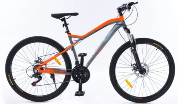 Imagen de Bicicleta Zanella Delta R27.5 XE Gris/naranja